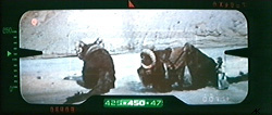 sandpeople